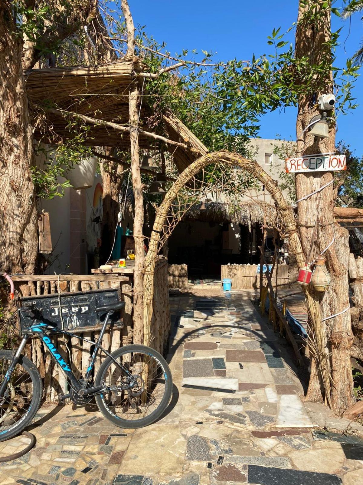 Sunrise Dahab Lodge Eksteriør bilde